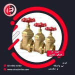 شیر فلکه (سامین)