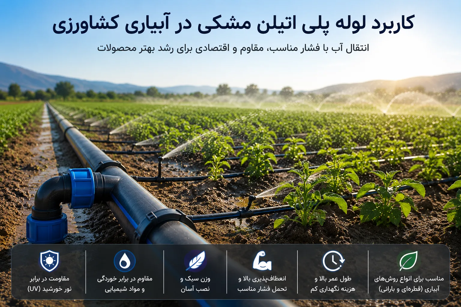لوله پلی اتیلن مشکی در یک زمین کشاورزی زیر نور خورشید، متصل به سیستم آبیاری